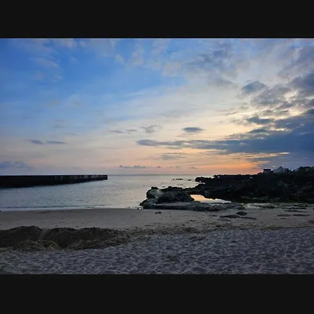Deux Maisons Reunis Par Le Jardin Et Sa De Plage, A 8min A Pieds Des Plages Et De L'ocean