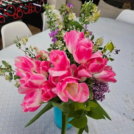 Deux Maisons Reunis Par Le Jardin Et Sa De Plage, A 8min A Pieds Des Plages Et De L'ocean Batz-sur-Mer