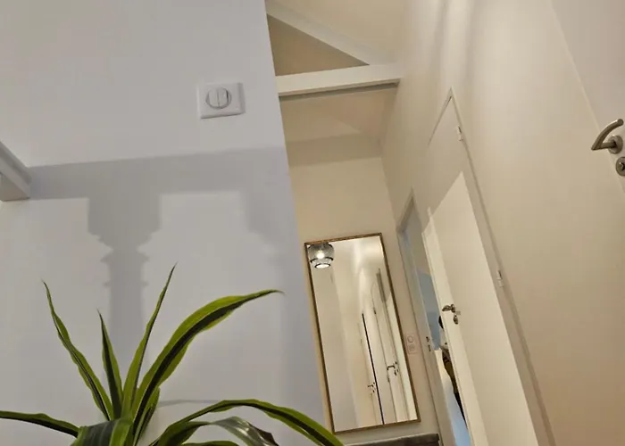 Deux Maisons Reunis Par Le Jardin Et Sa De Plage, A 8min A Pieds Des Plages Et De L'ocean