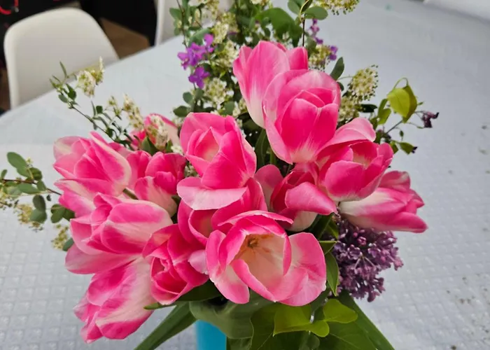 Deux Maisons Reunis Par Le Jardin Et Sa De Plage, A 8min A Pieds Des Plages Et De L'ocean 바츠 쉬르 메르